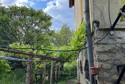 Casa individuala retrasa, Andrei Muresanu - 10