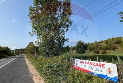 Teren Manastirea Humorului / Strada Principala 22,238 MP - 16