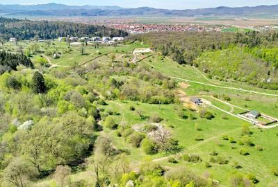 Teren Construcții intravilan de 5500 mp, în Cristian - 12