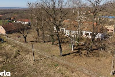 Casă cu 8 camere cu Teren 22919 Mp în Constantin Daicoviciu - 9