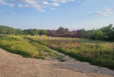 Spațiu comercial, în Teișori - 13