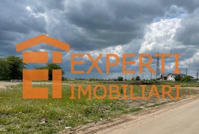 Teren intravilan 7000 mp  situat in zona SERE - VARFUL CU DOR - 2