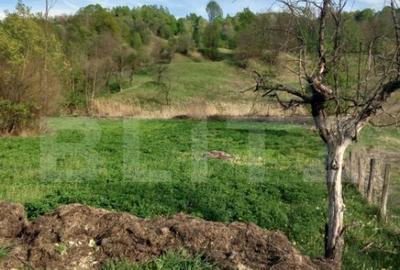 Teren intravilan/extravilan - 6