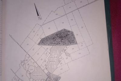 Teren de 61531 mp, în Mitreni - 4