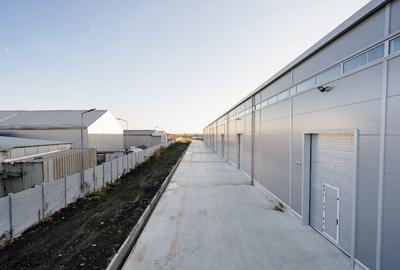 Spatii depozitare, hala, birouri, parcare Cernica Spatii depozitare, hala, birouri, parcare Cernica - 3