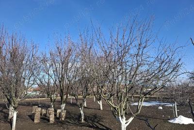 Casă cu 3 camere în Central - 3