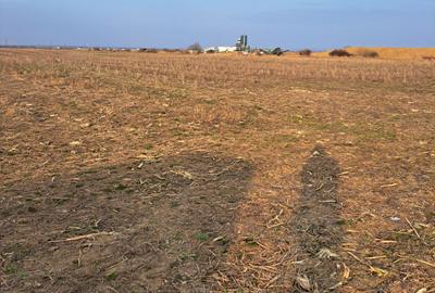 Spațiu comercial, în Marginea - 2