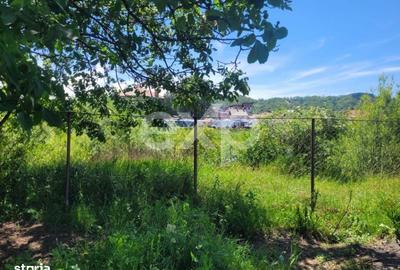 Spațiu comercial, în Domnești - 7