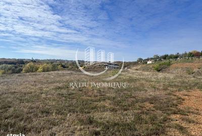 Teren de 3961 mp, în Paleu - 7