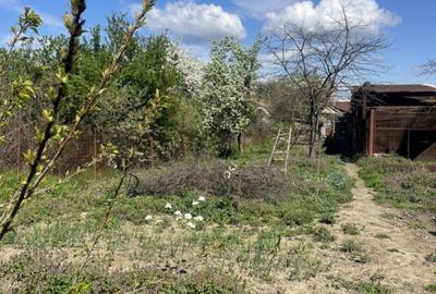 Casa in Timisoara cu 4 apartamente, 440mp teren propriu - 5