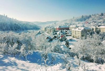 Casa de vacanta in Baiut - 16