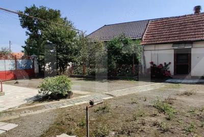 Casa mare cu gospodarie completa Belin?, jude?ul Timi? teren 4.900 mp - 4