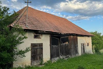 Casa de vanzare Com. Calarasi Turda - 6