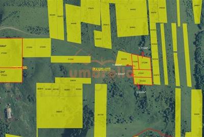 Teren Construcții intravilan de 1000 mp, în Sopor - 6