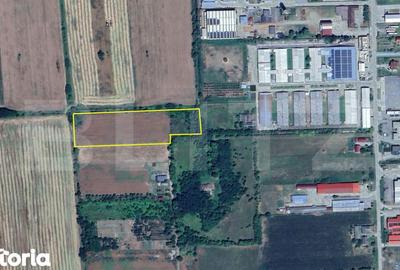 Teren de 5000 mp, în Careiului