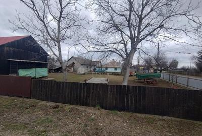 Casă cu Teren 3976 Mp în Dumbrăvița - 2