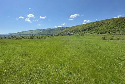 Teren în Poplaca - 6