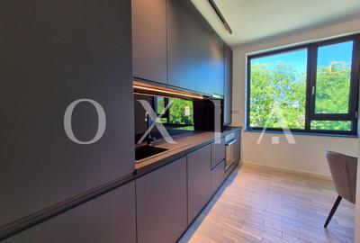 AX1068 Dumbravita, Bulevardul Petre Tutea, Prima Inchiriere - 3