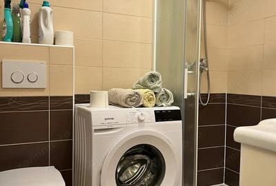 Apartament cu o camera de inchiriat in zona Circumvalatiunii - 2