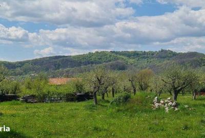 Casă cu 4 camere în Albești - 3