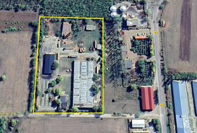 Teren de 21168 mp, în Plenița - 2