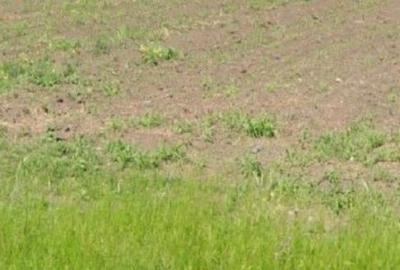 Teren extravilan Cocorastii Colt ; ID: R2710069 - 4