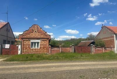 Casa in Cutina Casa in Cutina - 4