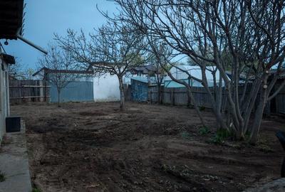 Casă cu 4 camere în Radu Negru - 1