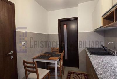 Apartament cu 3 camere decomandat, mobilat în Sălăjan - 4