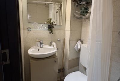 Garsonieră semidecomandată, mobilată în Drumul Taberei - 7