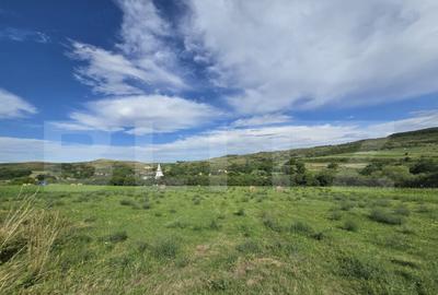 Teren de 2431 mp, în Chinteni