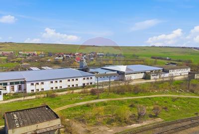 Teren Construcții intravilan de 44425 mp, în Est - 13