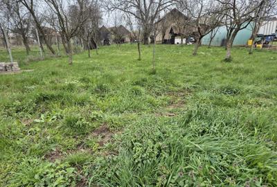 Spațiu comercial, în Luna - 4