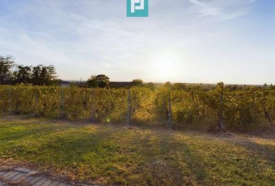 Casă individuală cu 6 camere cu Canalizare în Miniș - 32