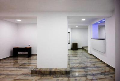 Domenii(Parcul Copilului),130 mp ,ideal birou,cabinet medical,cursuri,meditatii - 16