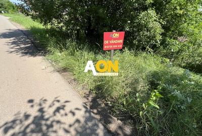 Teren de vanzare cu toate utilitatile si asfalt, 1001MP - 2