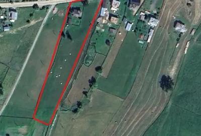 Teren de 5700 mp, în Dorna Candrenilor