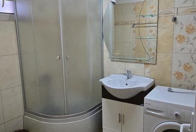 Casa renovata total in 2 studiouri separate cu curte - 10