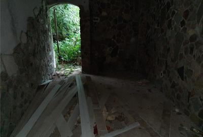 Casă cu Teren 552 Mp în Băiuț - 9