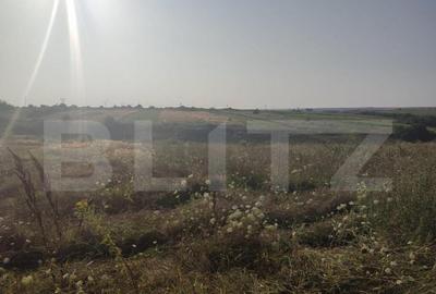 Teren intravilan 5000 mp deschidere 17 ml la DN65 , zona Qfo - 3