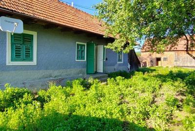 Casă cu 2 camere în Băcel - 9