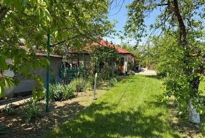 Casă cu 3 camere cu Teren 4000 Mp în Letca Nouă - 2