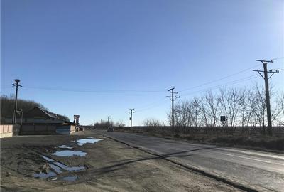 Teren de 7500 mp, în Dragomirești - 4