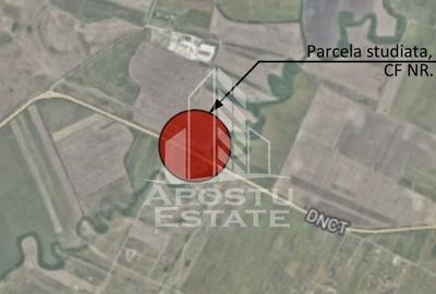 Teren Construcții intravilan de 4591 mp, în Dumbrăvița - 4