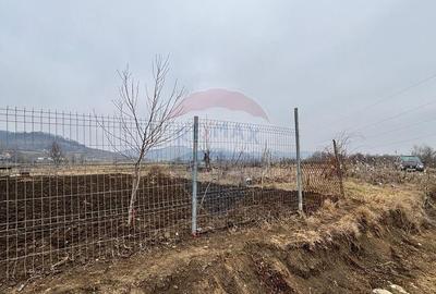 Teren constructie casa, 696 mp Medias / Strada Stadionului - 3