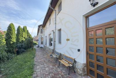 Inchiriere Spatiu de Birou Mansarda - Str. 1 Decembrie Nr.26 - Carei - 7