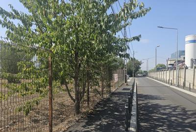 Vanzare Teren Baneasa Lac=Petrom City - 3