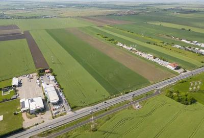 Teren 16.575 mp Arad / Soseaua DN79 - 3