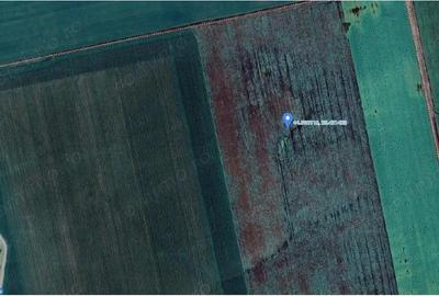 Teren de 1498 mp, în Orbeasca - 12