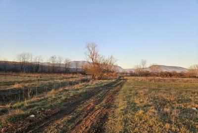 Teren intravilan 1555 mp - Arcani - 13 km de Tg. Jiu - 8